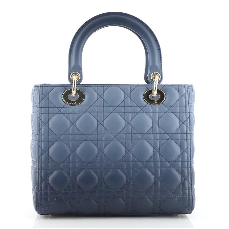dior gradient bag