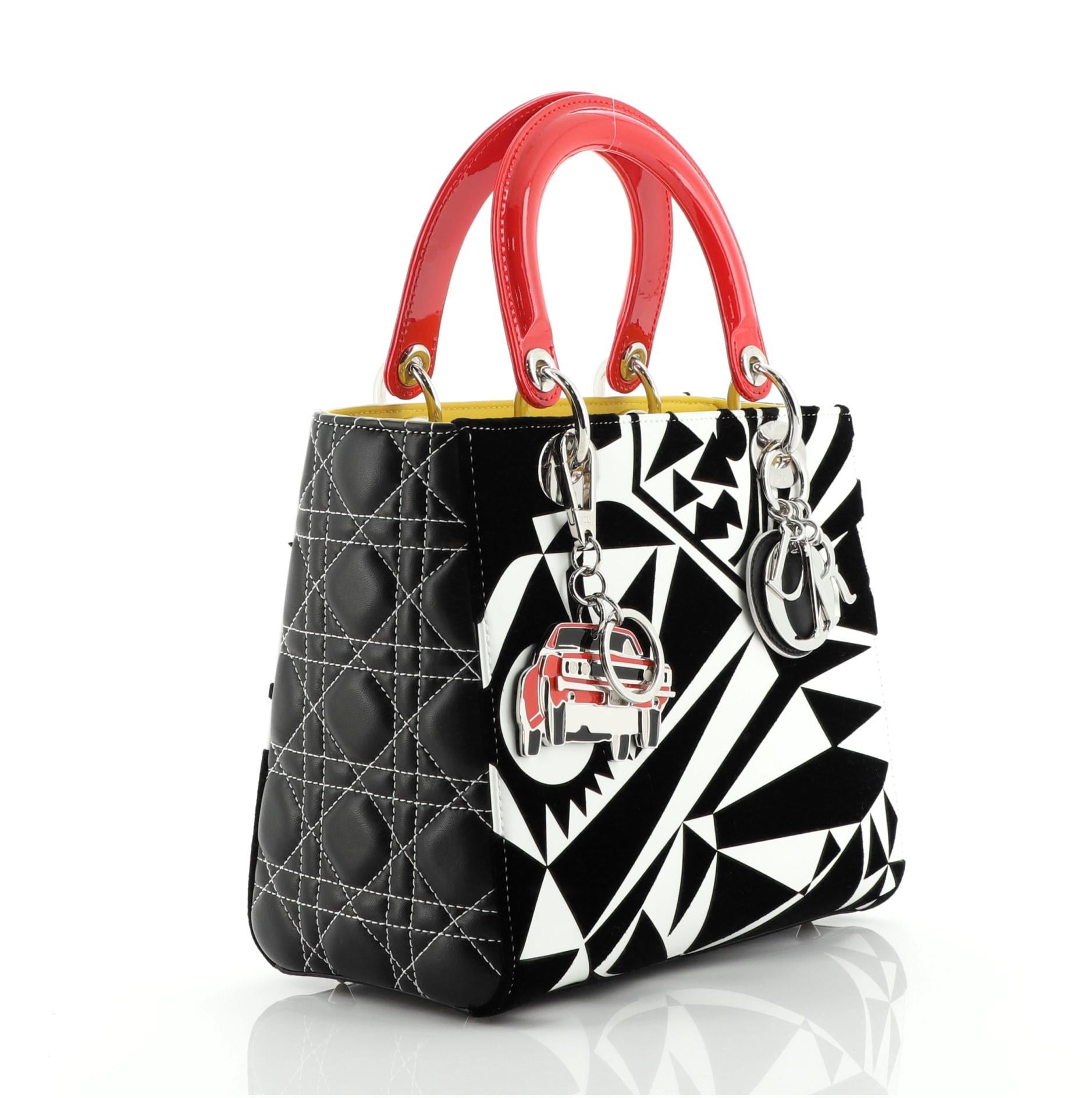 Christian Dior Lady Dior Tasche Limited Edition Matthew Porter Gedrucktes Leder (Beige)
