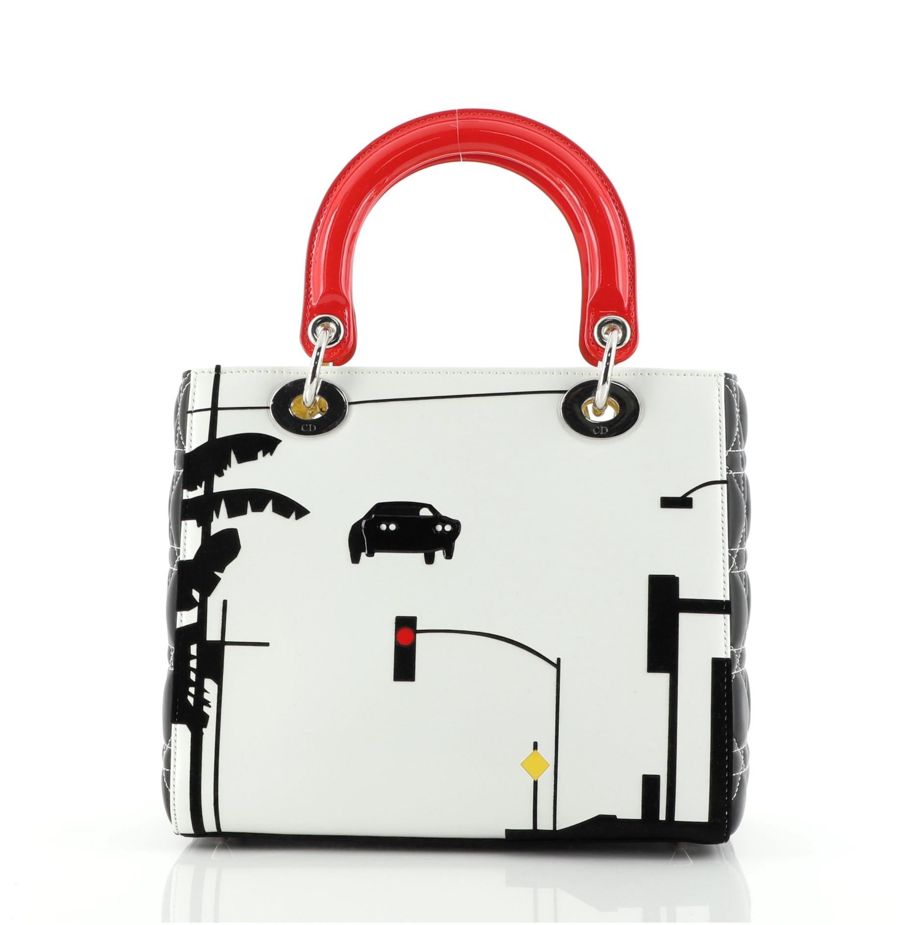 Christian Dior Lady Dior Tasche Limited Edition Matthew Porter Gedrucktes Leder im Zustand „Gut“ in NY, NY