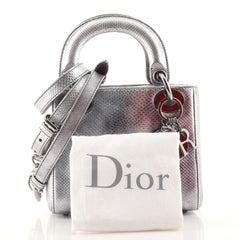 Christian Dior Lady Dior Bag Vieil Argent Karung Mini