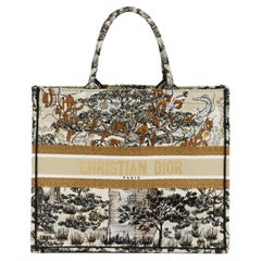 Christian Dior Large Embroidered Book Tote Bag