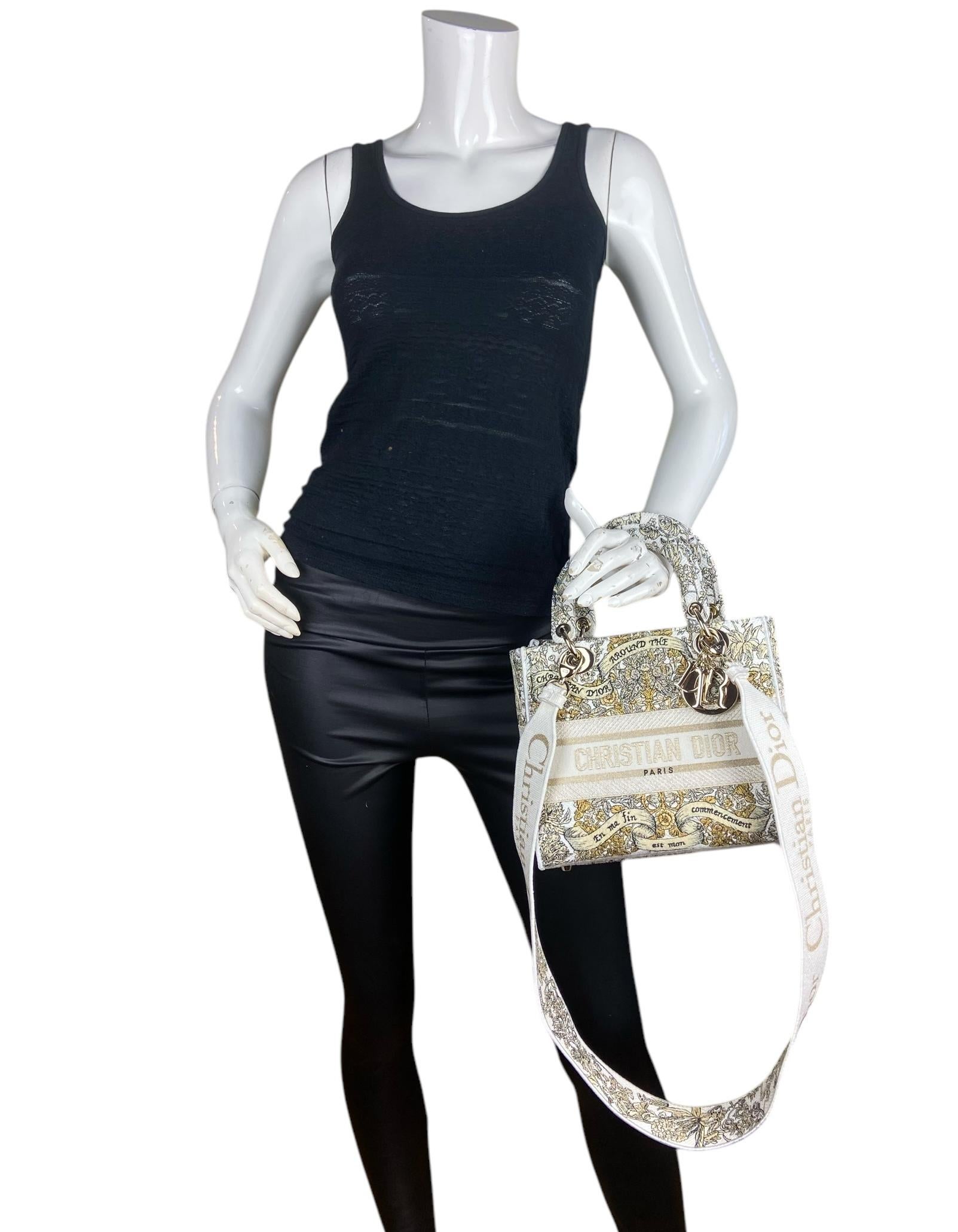 Gray Christian Dior Latte Embroidery Around the World Motif Medium Lady D-Lite Bag For Sale