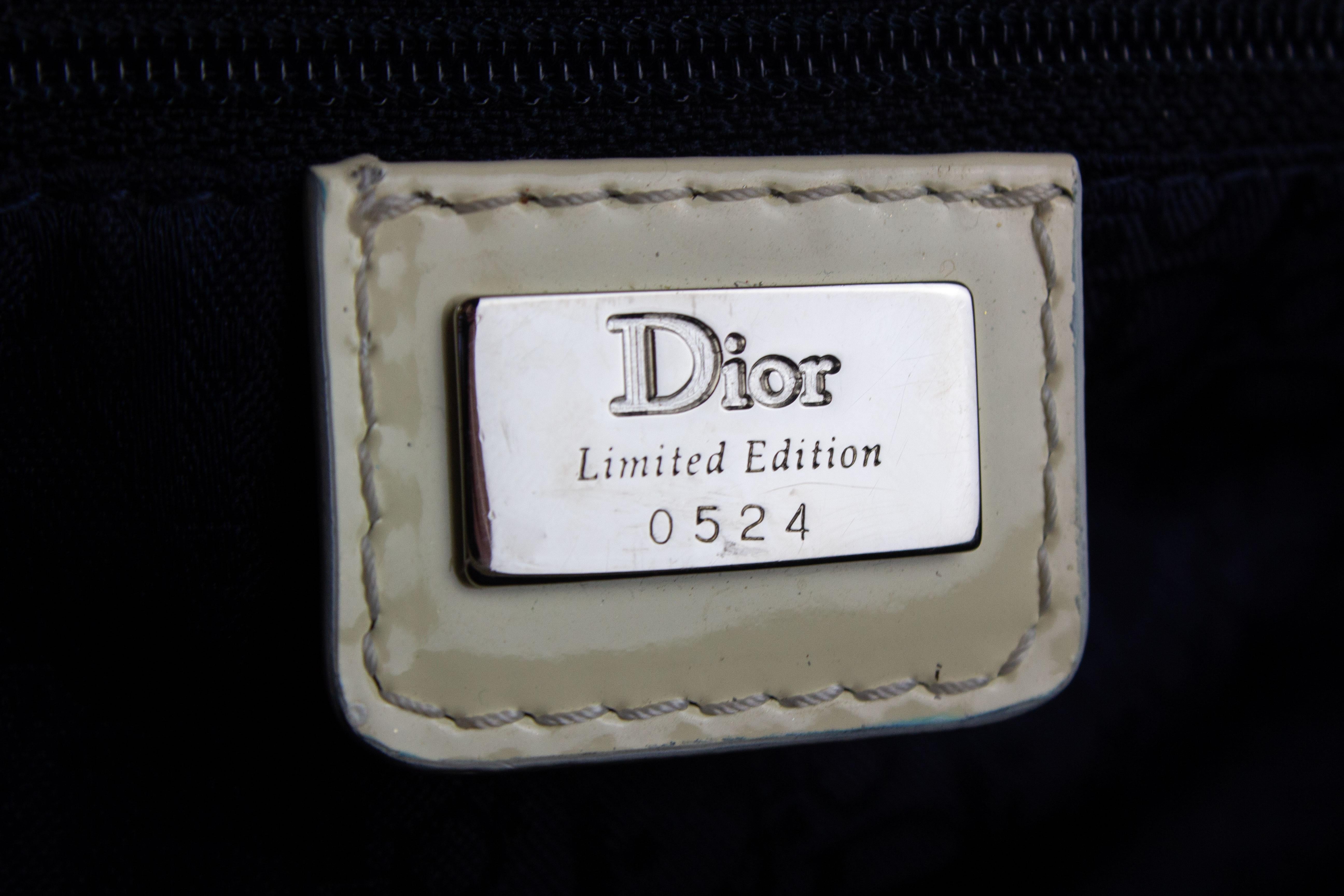 Christian Dior Limited Edition Adiorable Saddle Bag 1