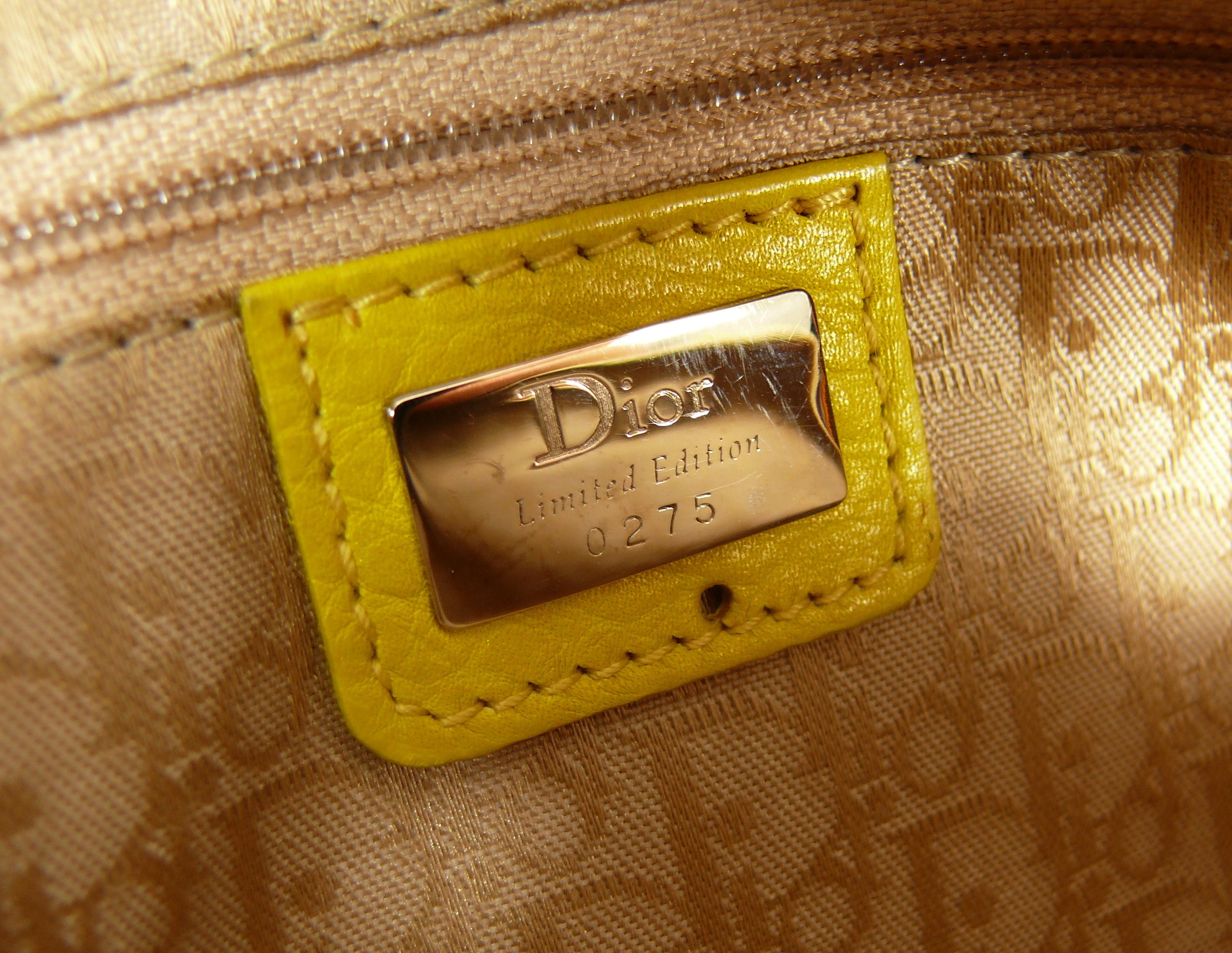 Christian Dior Limited Edition Raffia Flower Bowler Handbag 9