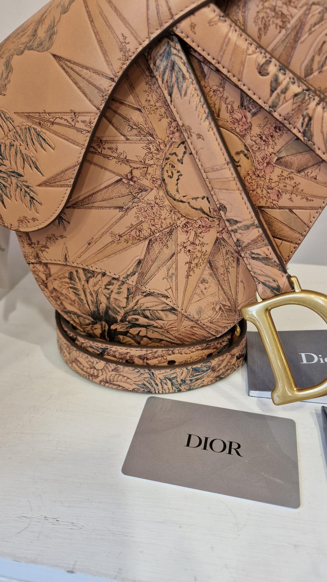 Christian Dior limited edition saddle bag NWOT 3