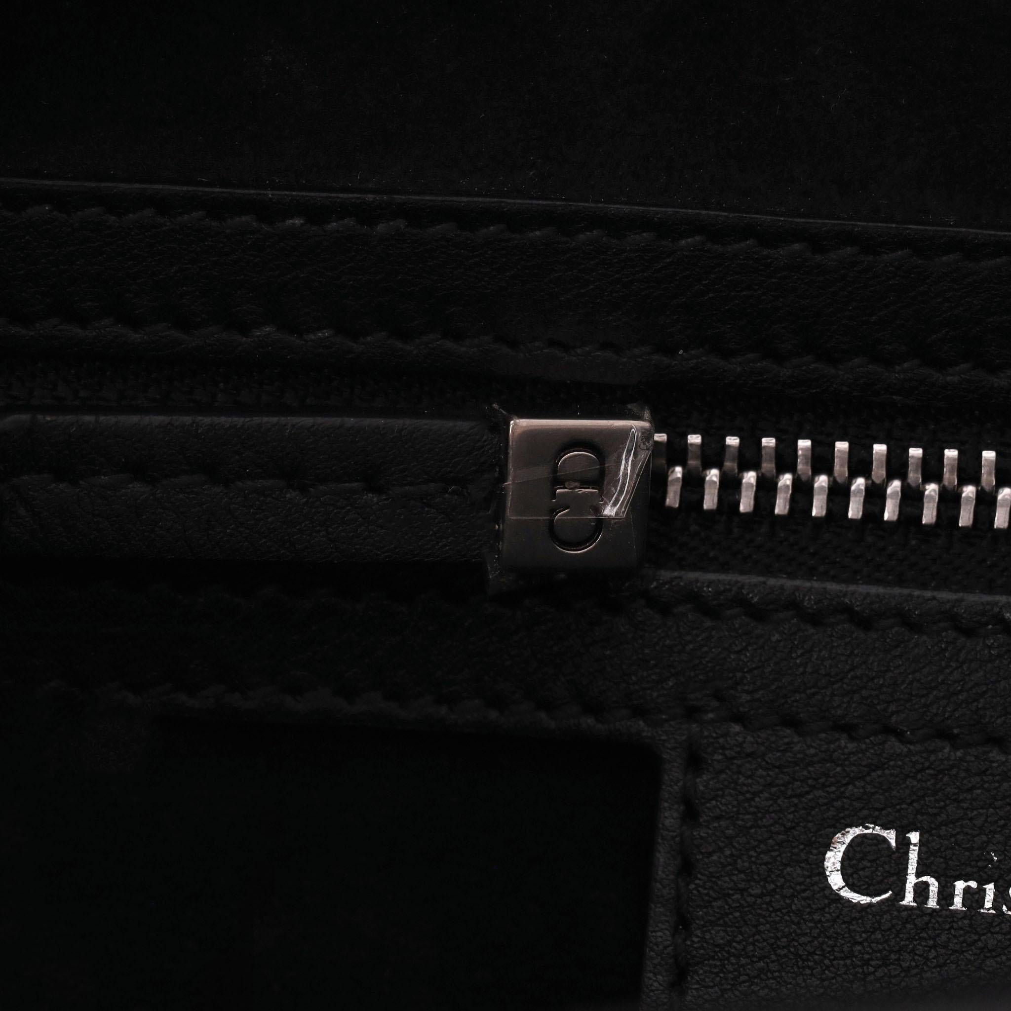 Christian Dior Ltd Edition Leather Embroidered Saddle Bag 2