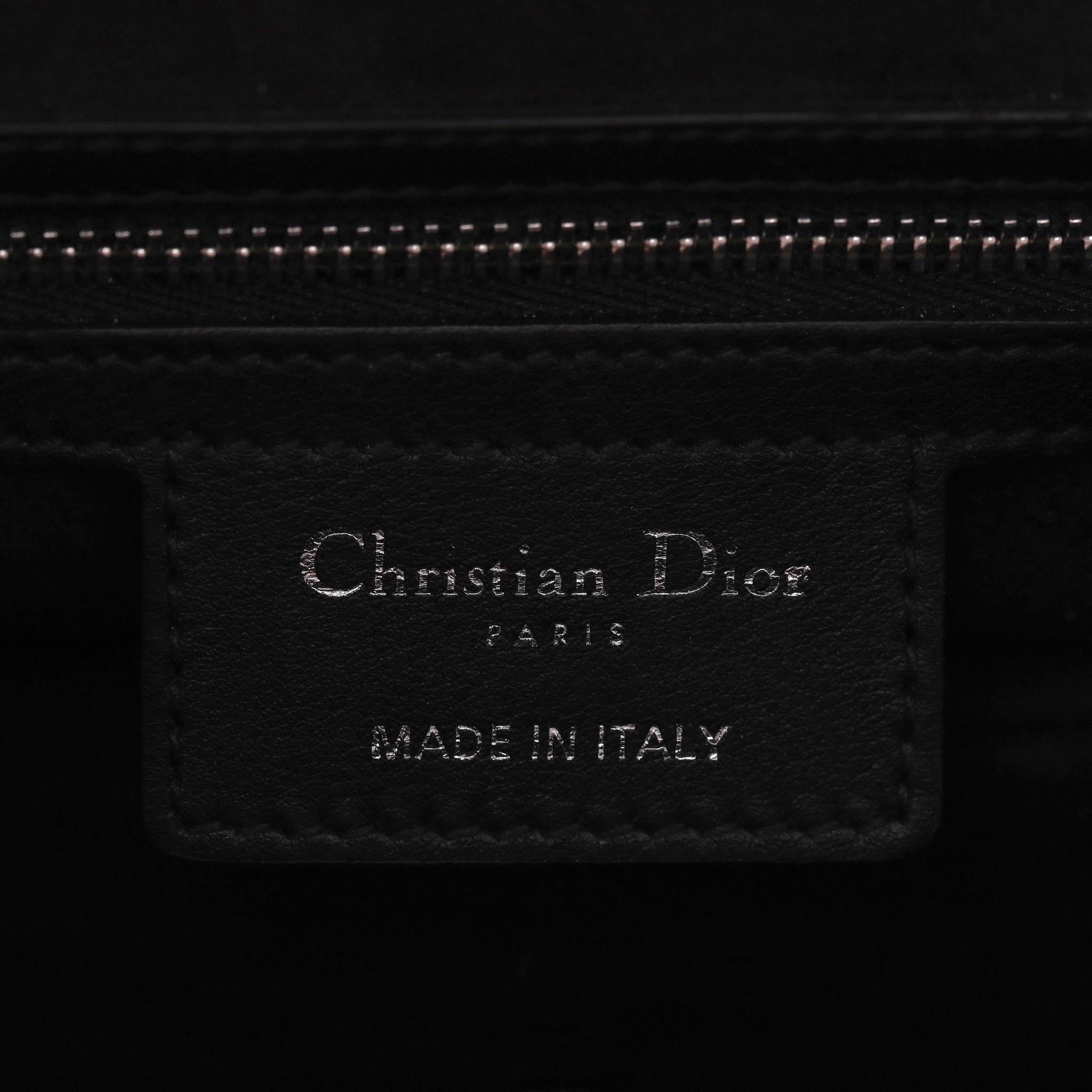 Christian Dior Ltd Edition Leather Embroidered Saddle Bag 3