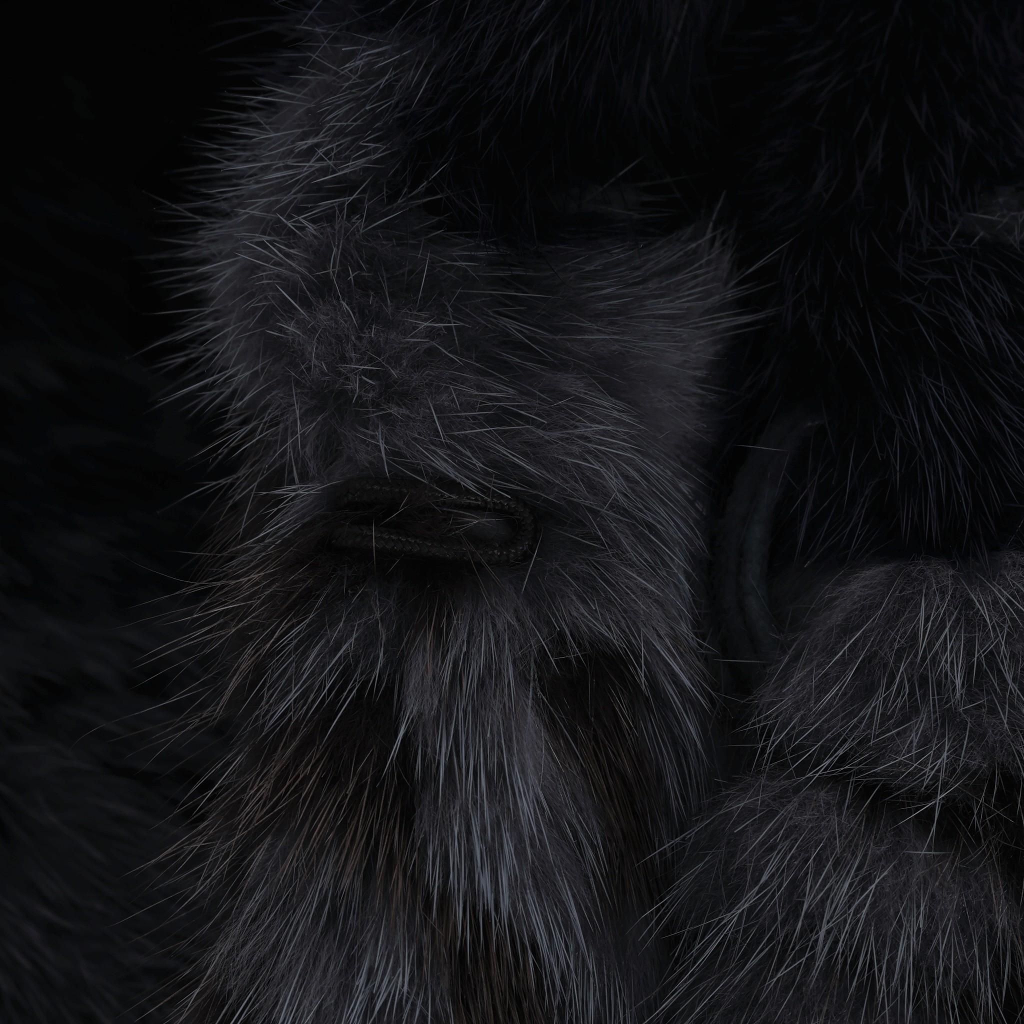 Christian Dior Mink Fur Coat 1