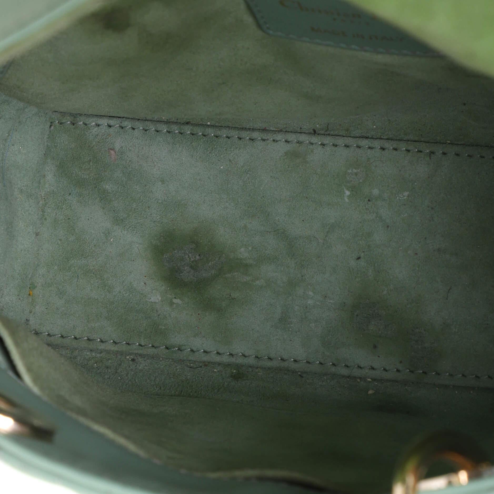 dior bag green