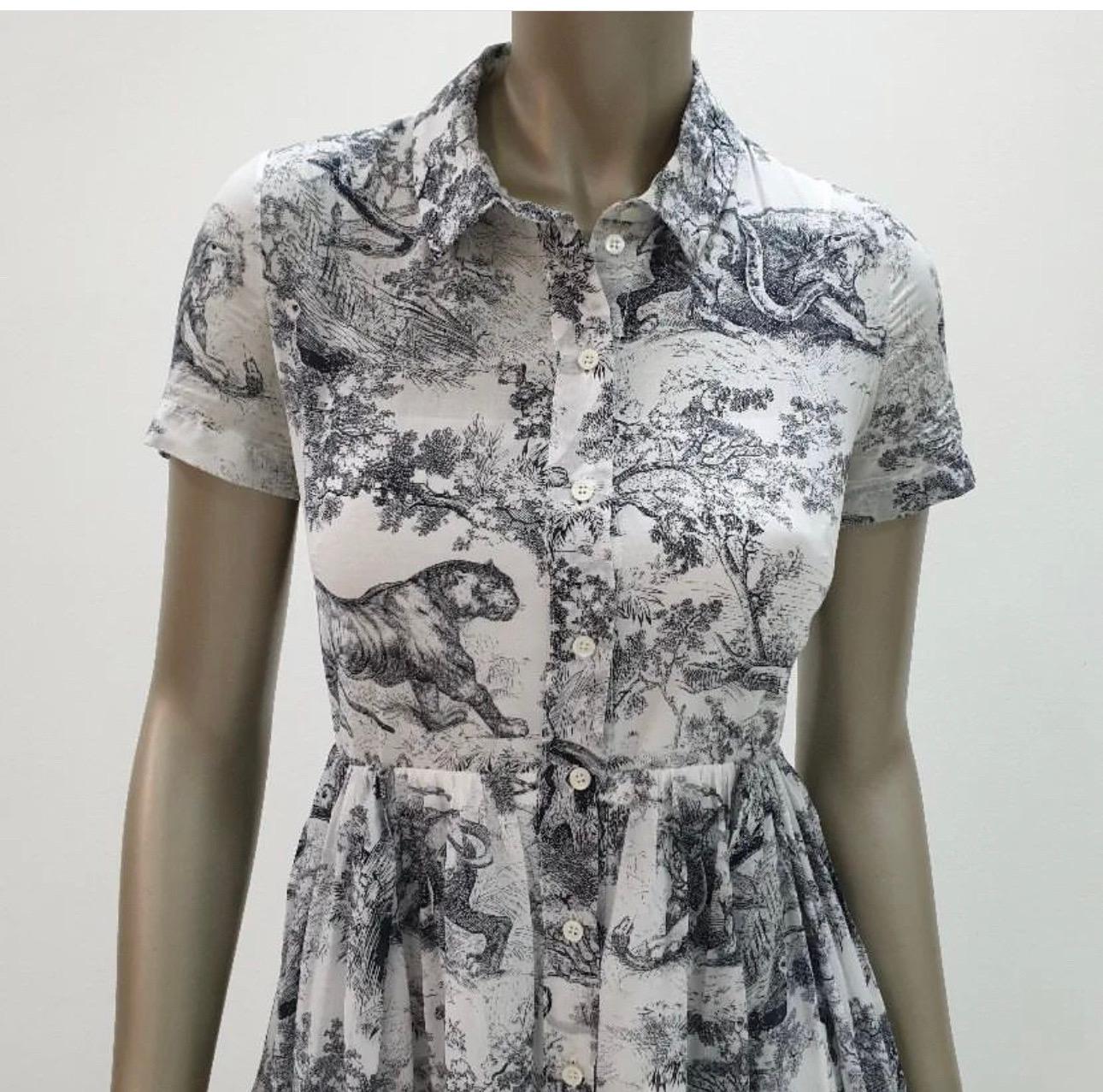 dior toile de jouy dress