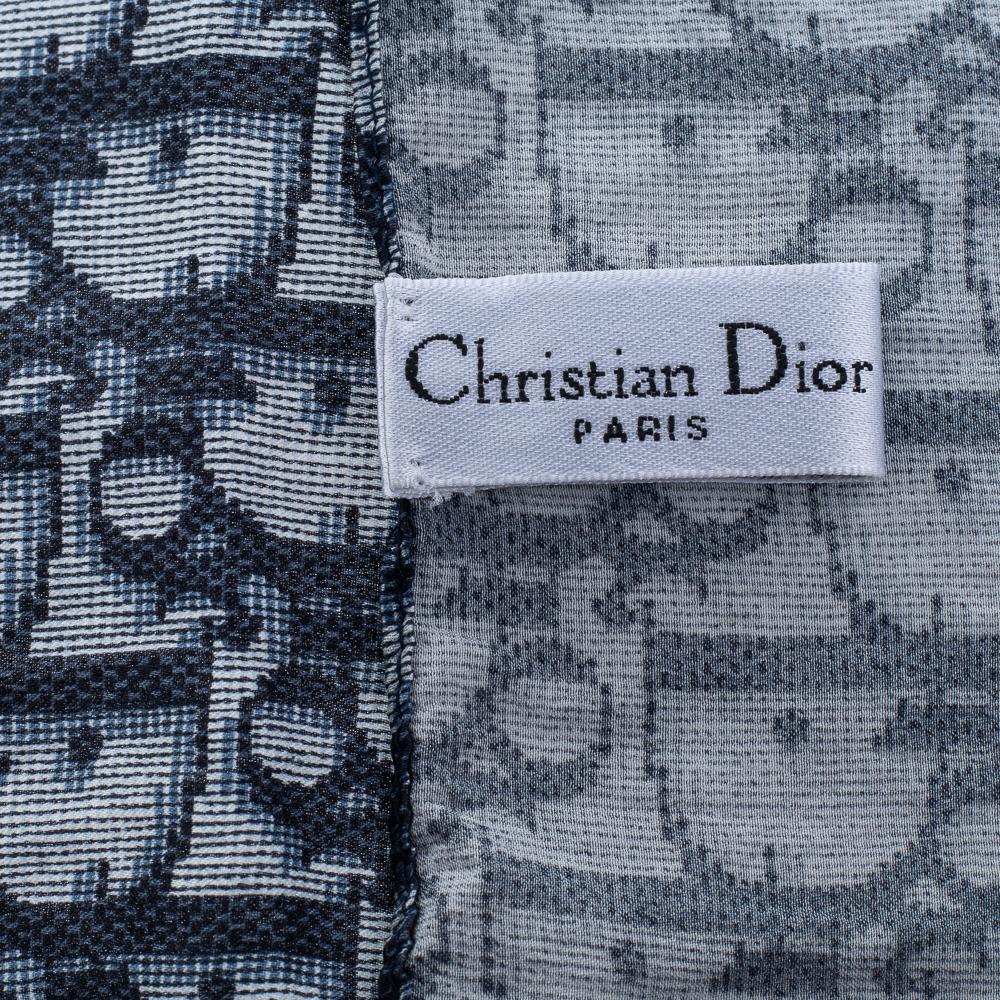 dior trotter scarf