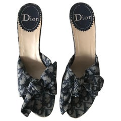 CHRISTIAN DIOR Oblique mule sandal