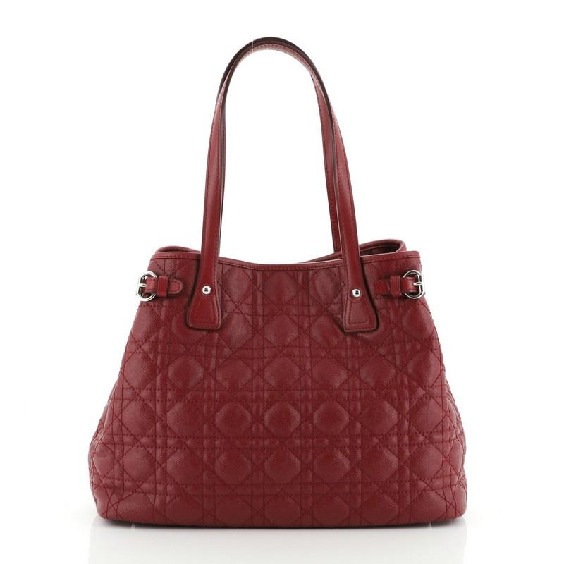 dior panarea tote