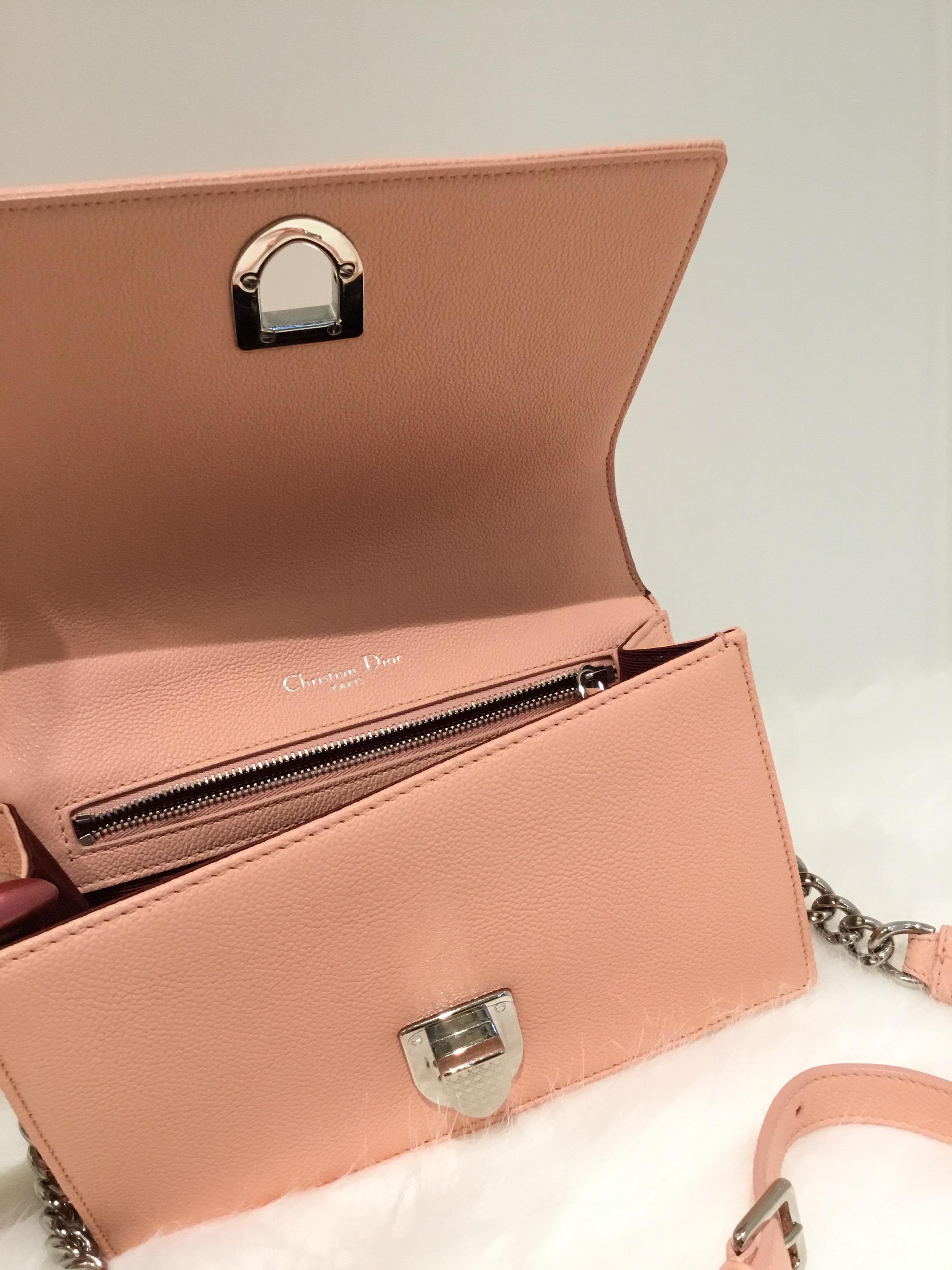 Christian Dior Pink Diorama Crossbody with Silver Hardware 2