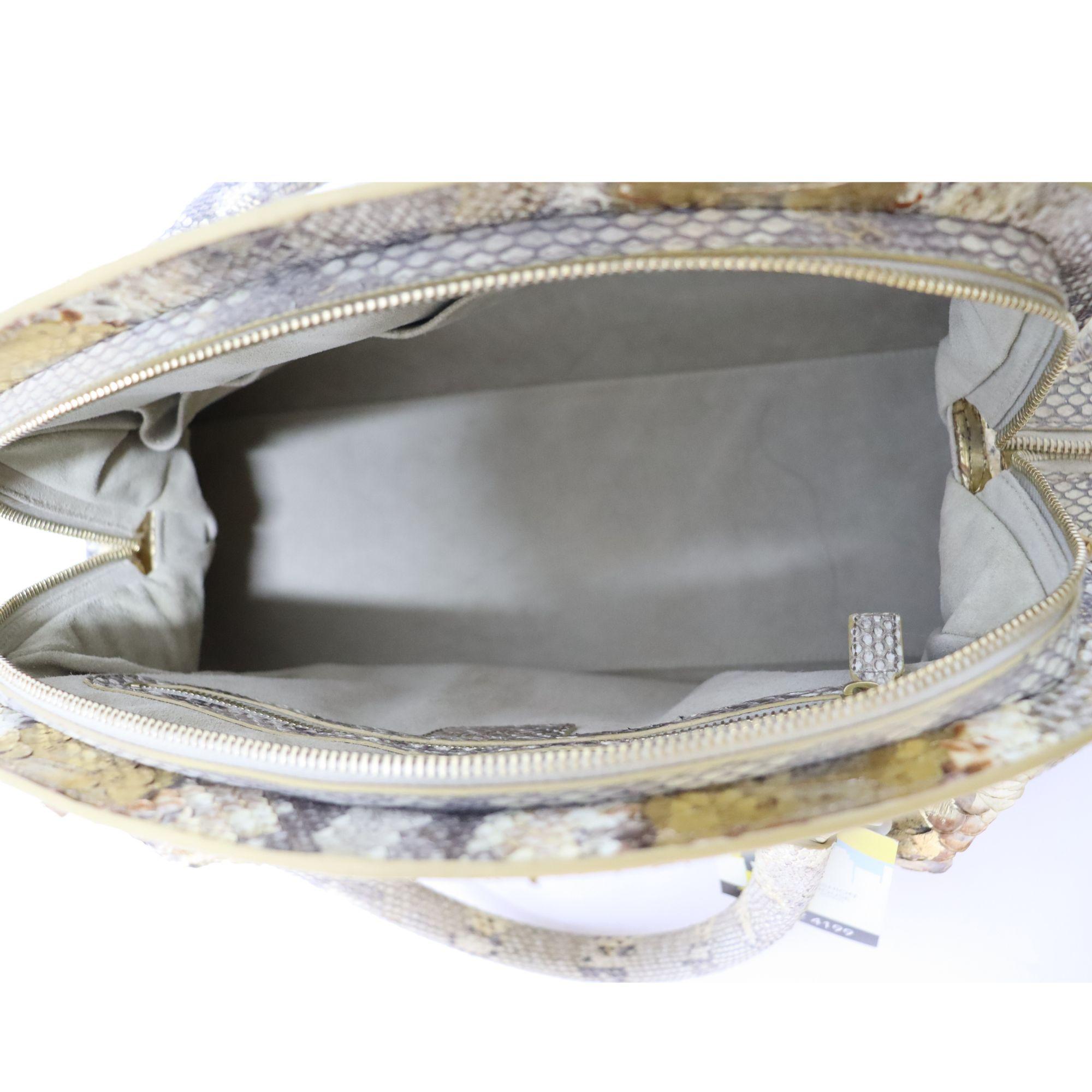 Christian Dior Python Frame Pocket Satchel 1