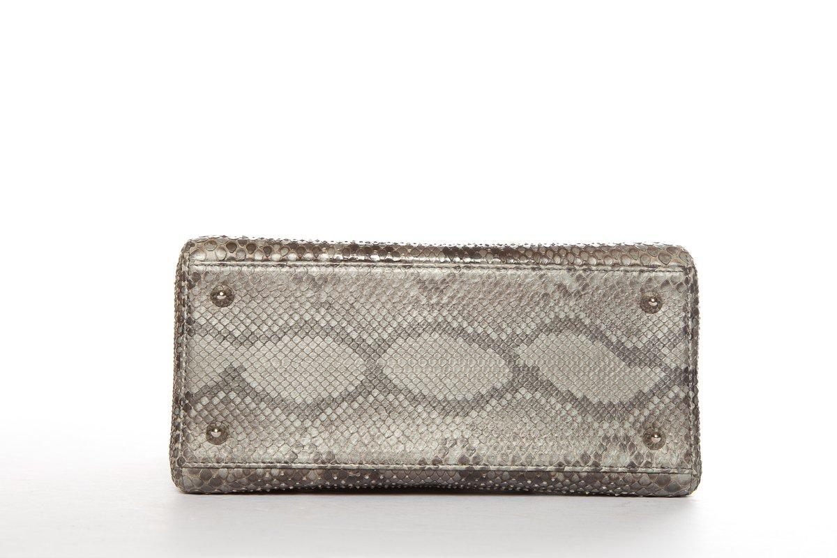 lady dior snakeskin bag