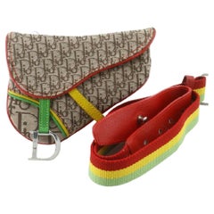 Christian Dior Rasta Diorissimo Satteltasche