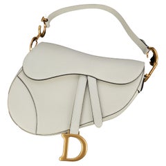 Christian Dior Saddle bag 2023