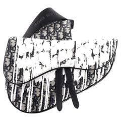Christian Dior Saddle Crossbody Bag Limited Edition Printed Oblique Canvas
