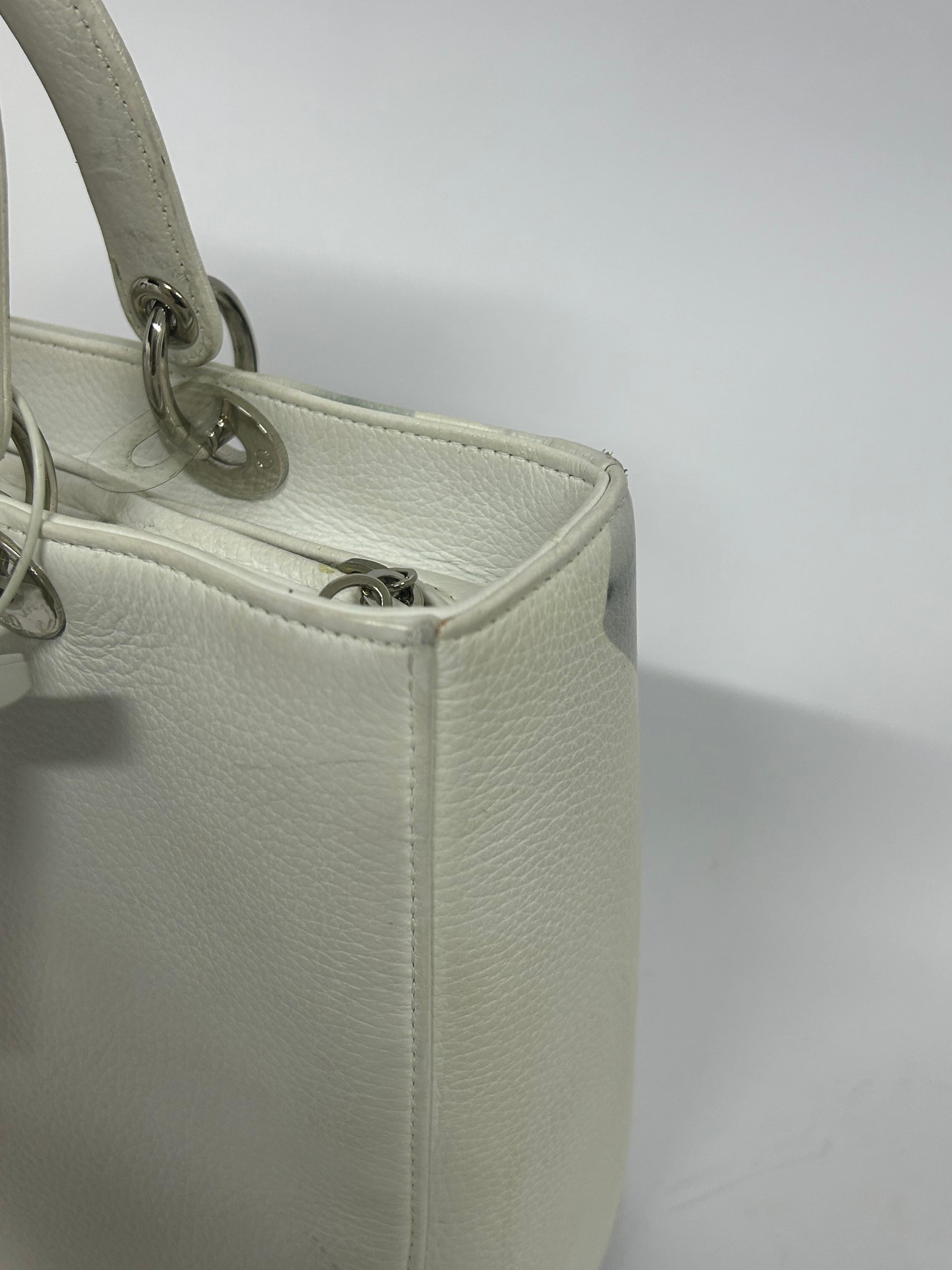 Christian Dior Secret Garden Large Lady Dior Bag For Sale 6