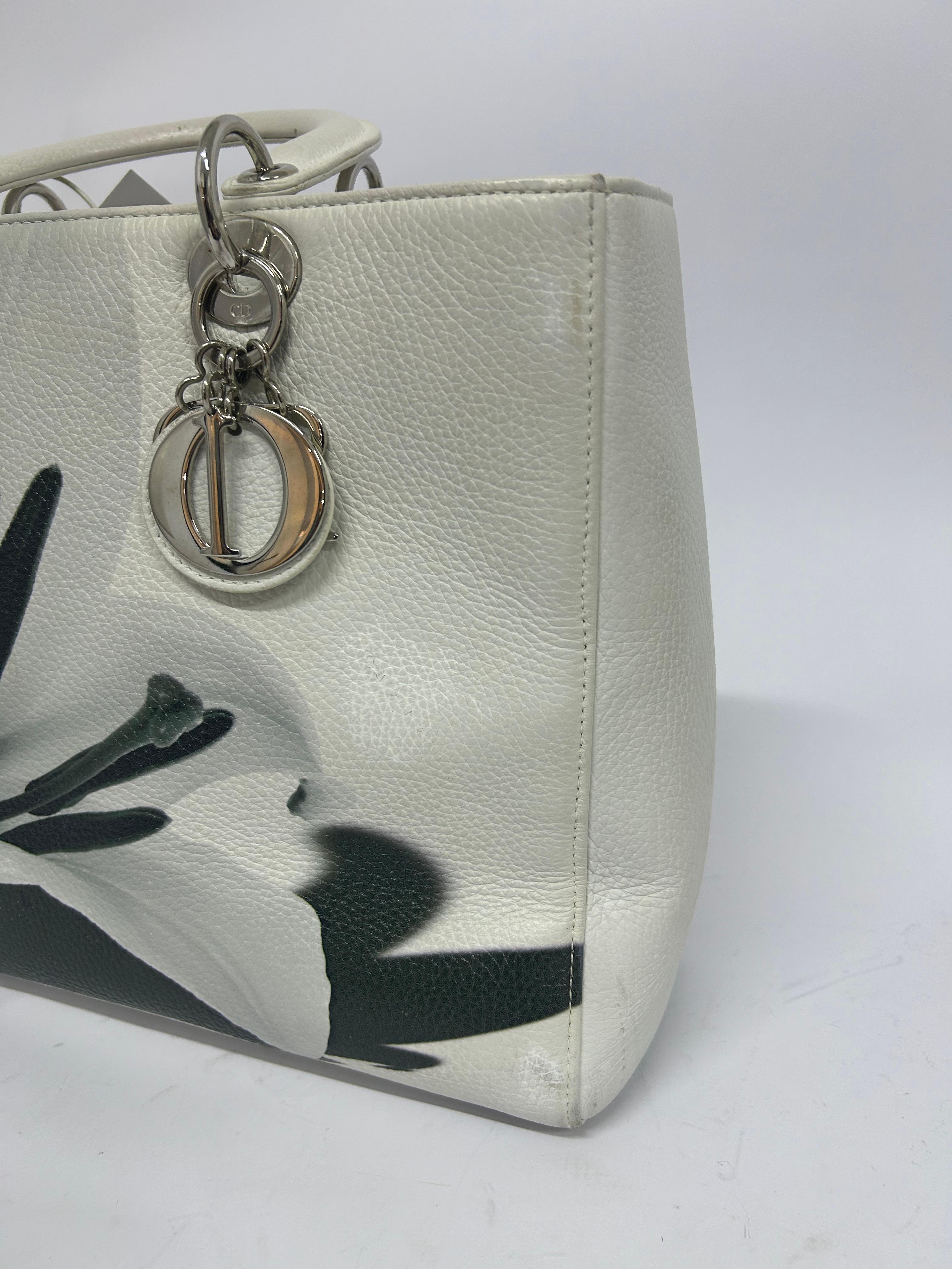 Christian Dior Secret Garden Large Lady Dior Bag For Sale 13