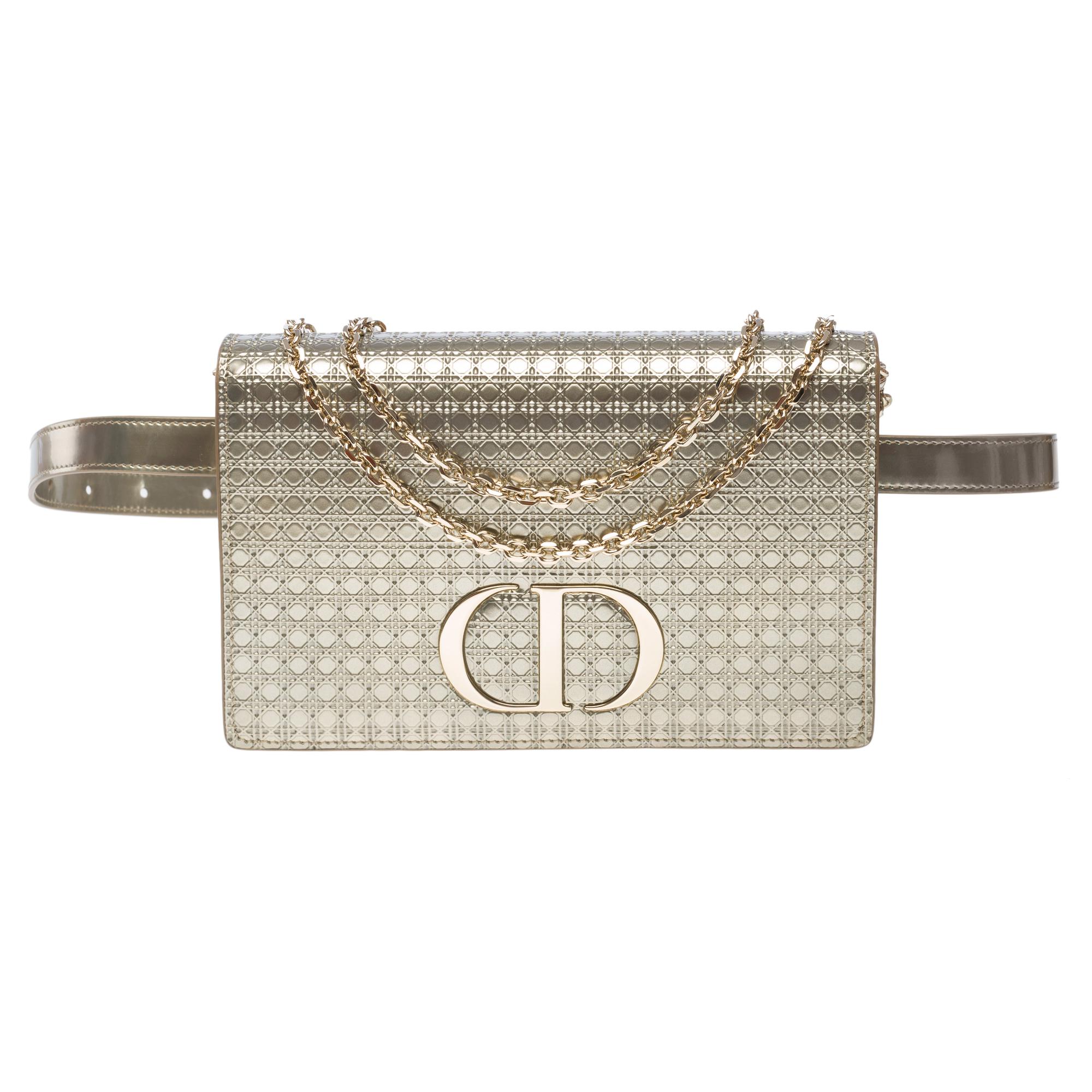Women's Christian Dior shoulder&belt bag 2 in 1 30 Montaigne in silver leather For Sale