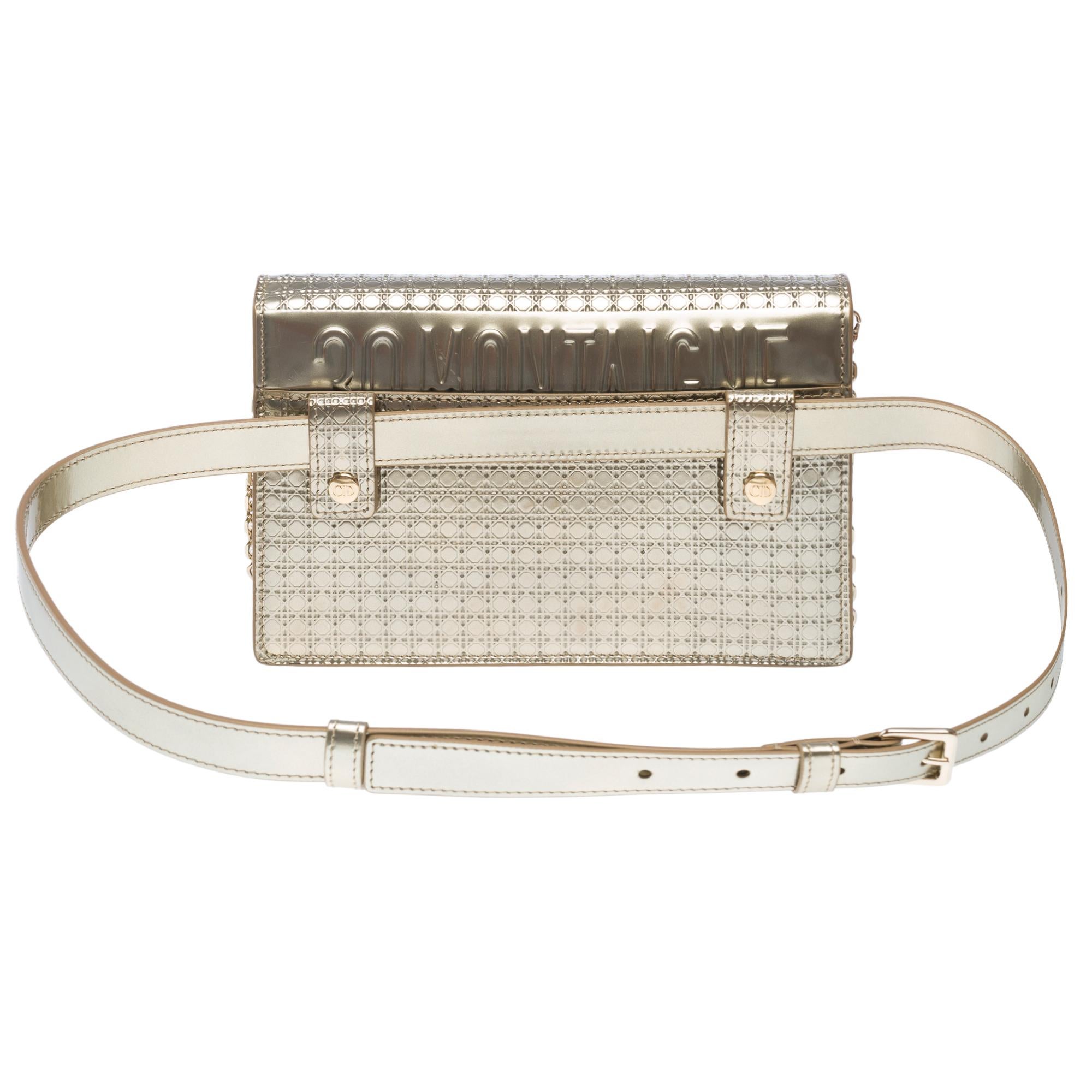 Christian Dior shoulder&belt bag 2 in 1 30 Montaigne in silver leather For Sale 1