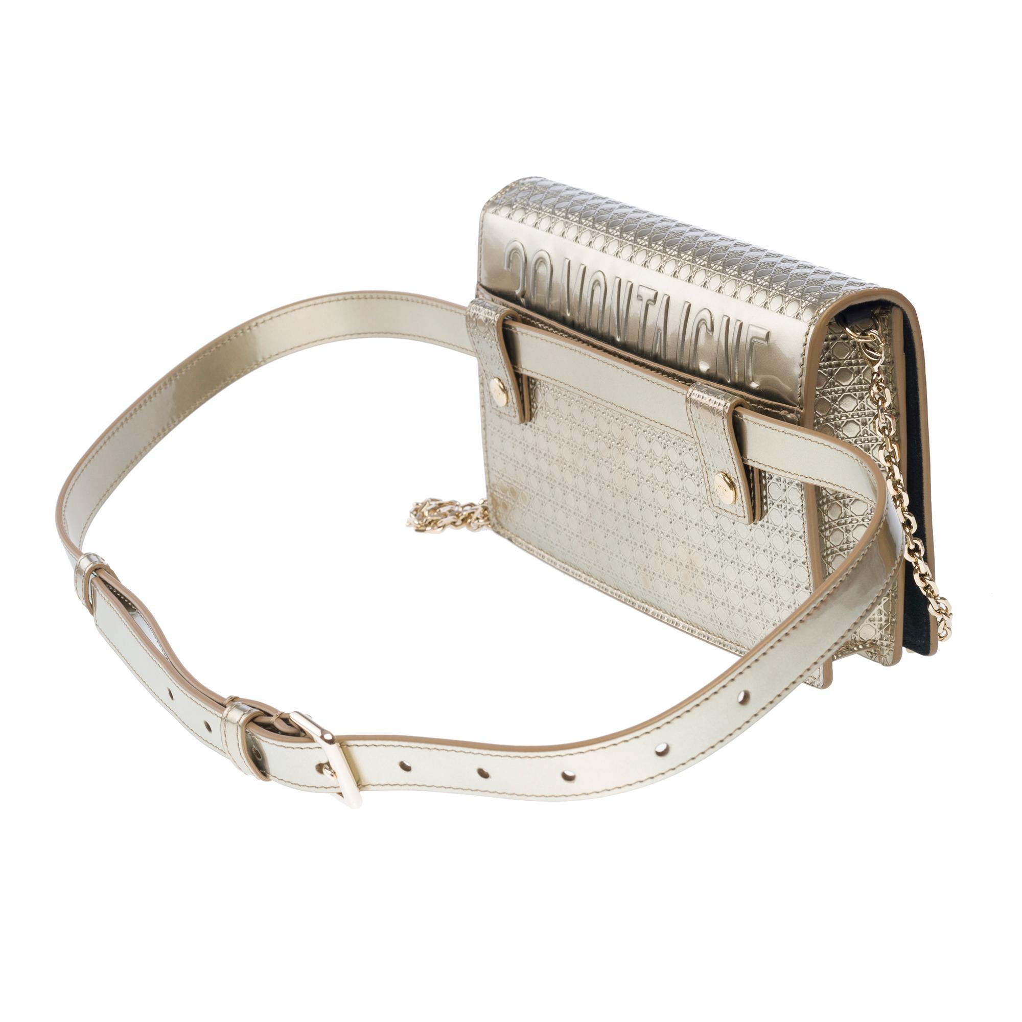 Christian Dior shoulder&belt bag 2 in 1 30 Montaigne in silver leather For Sale 3