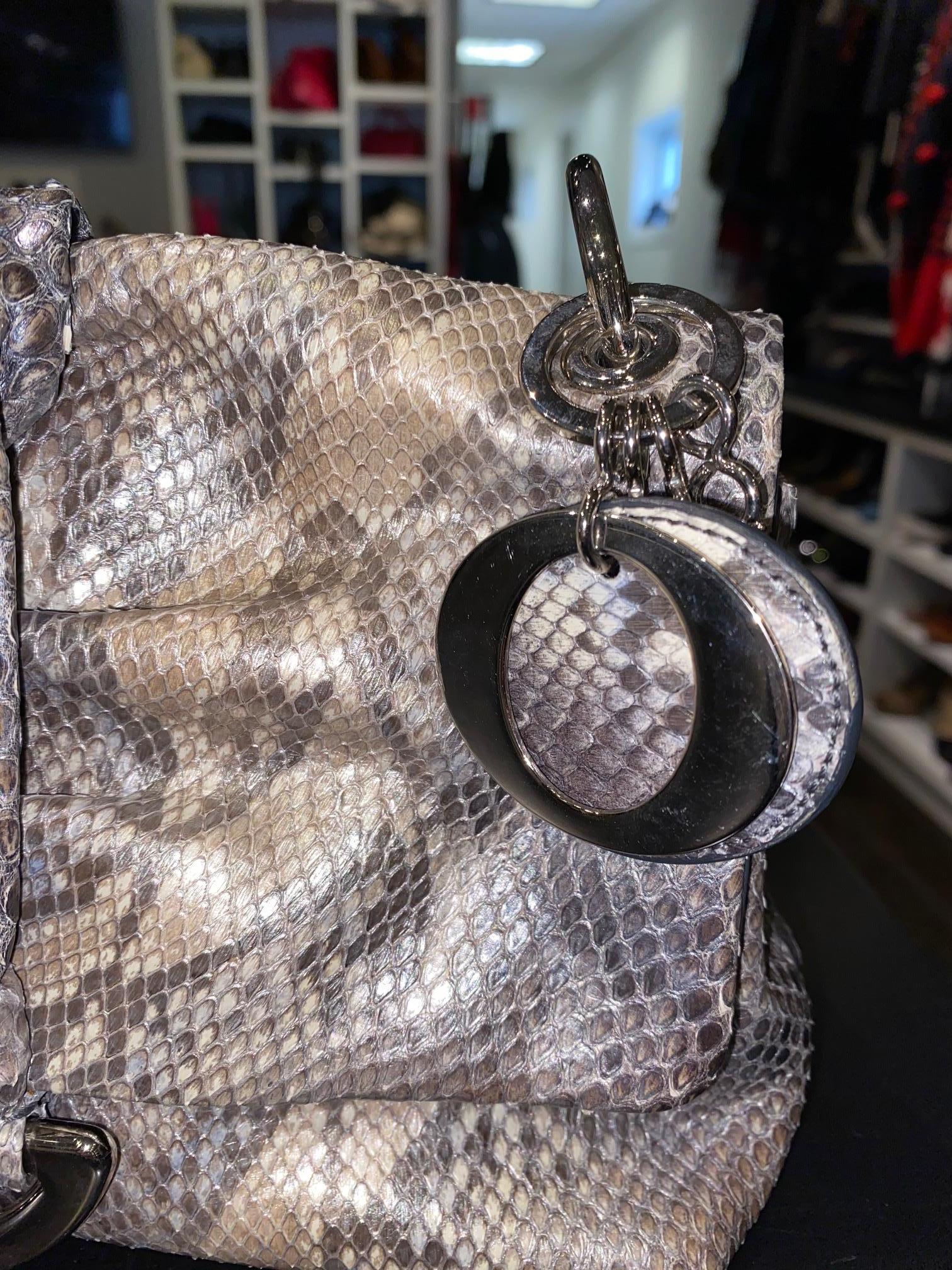 Christian Dior Skin Shoulder Bag For Sale 2