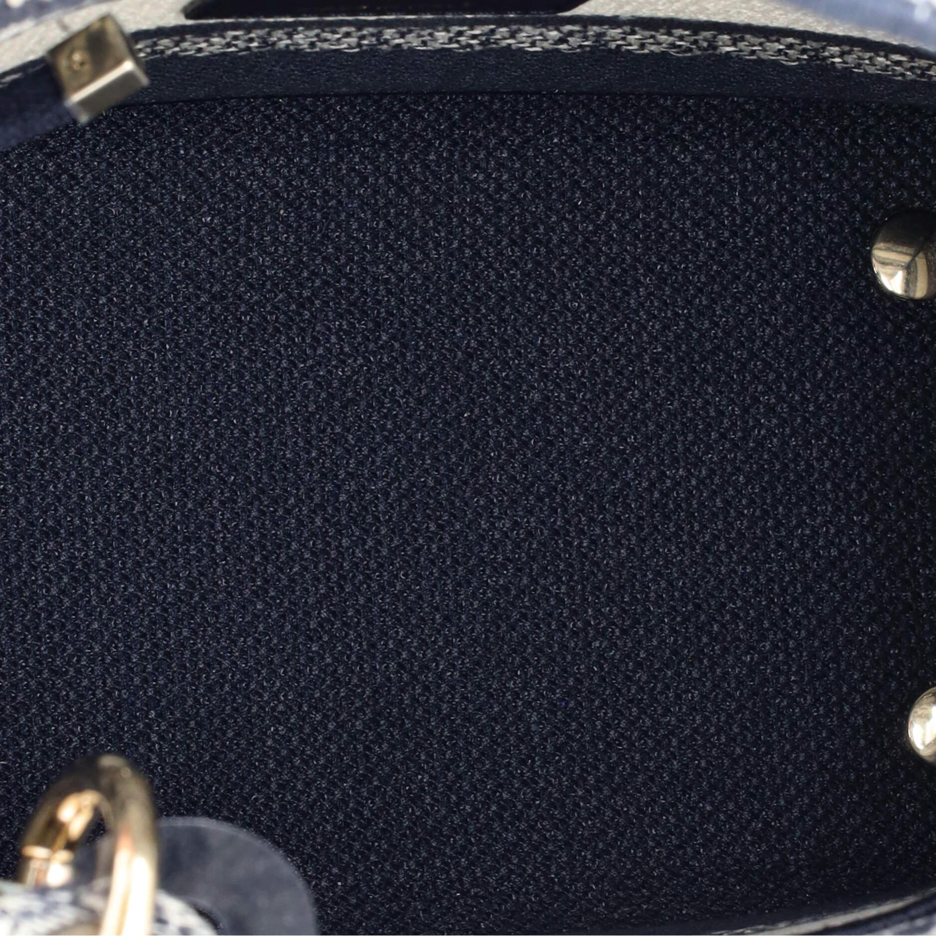 Christian Dior Toile de Jouy Lady D-Lite Bag Embroidered Canvas 1