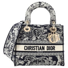 Christian Dior Toile de Jouy Lady D-Lite Bag Embroidered Canvas