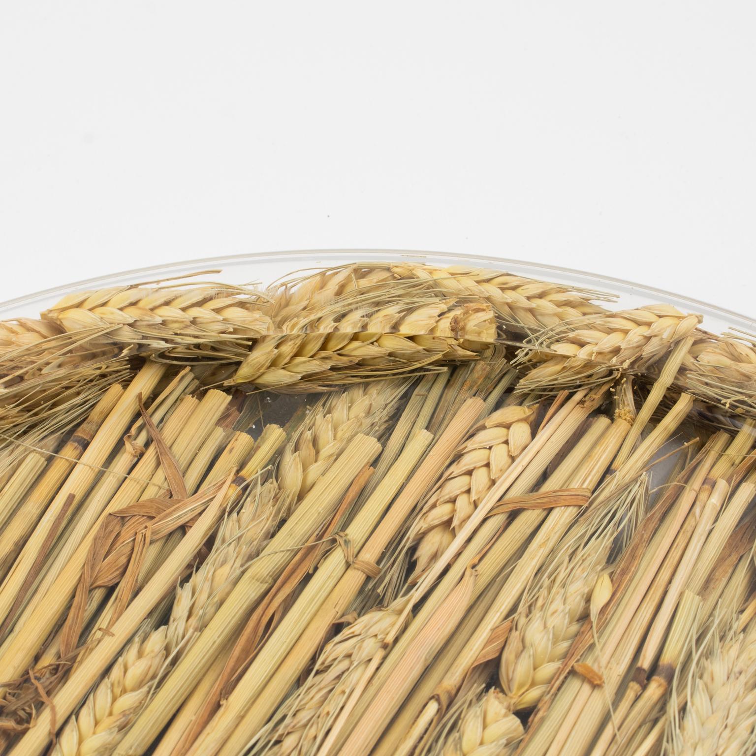 Christian Dior Tray Board Platter Lucite and Wheat, circa 1970 3