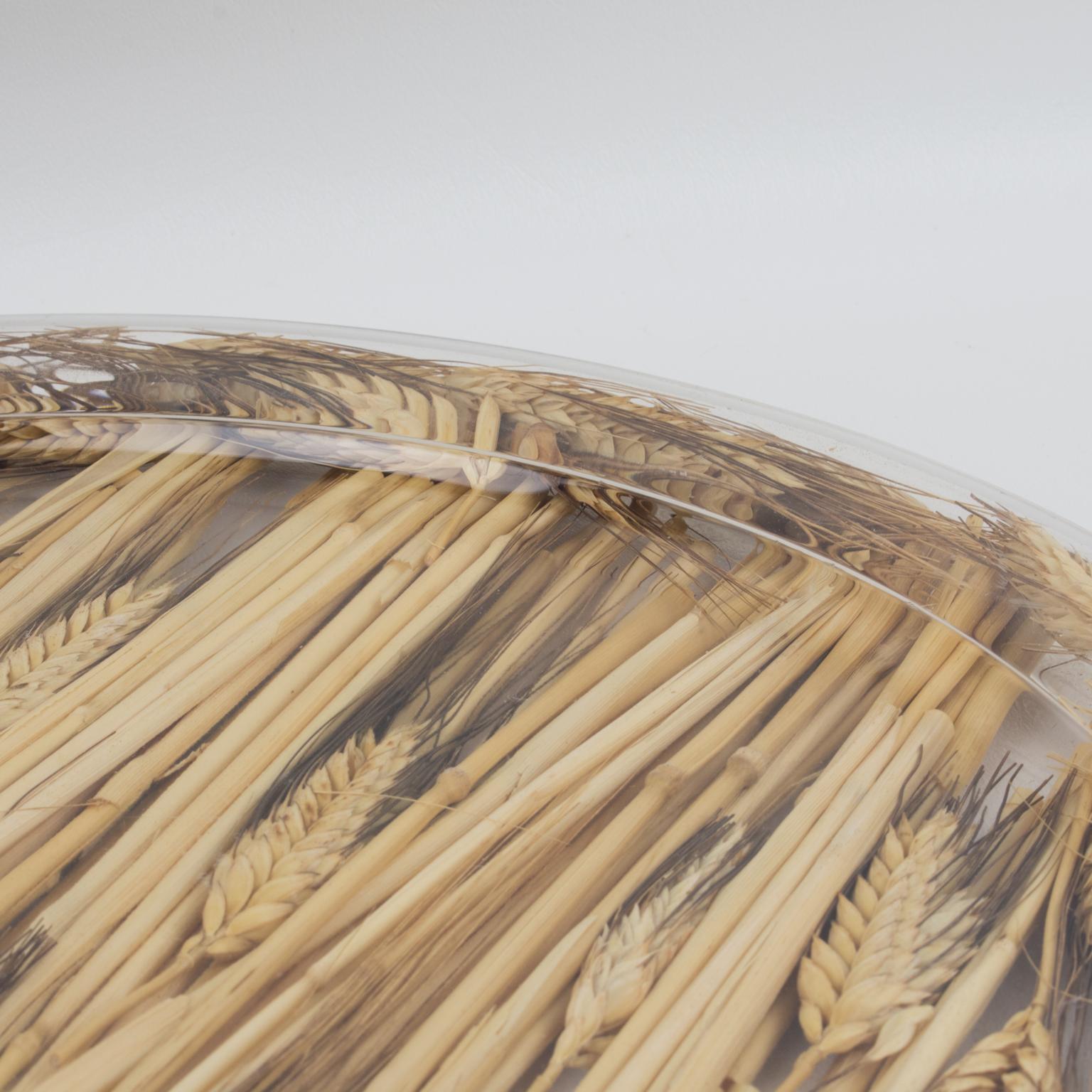 Plexiglass Christian Dior Tray Board Platter Lucite and Wheat