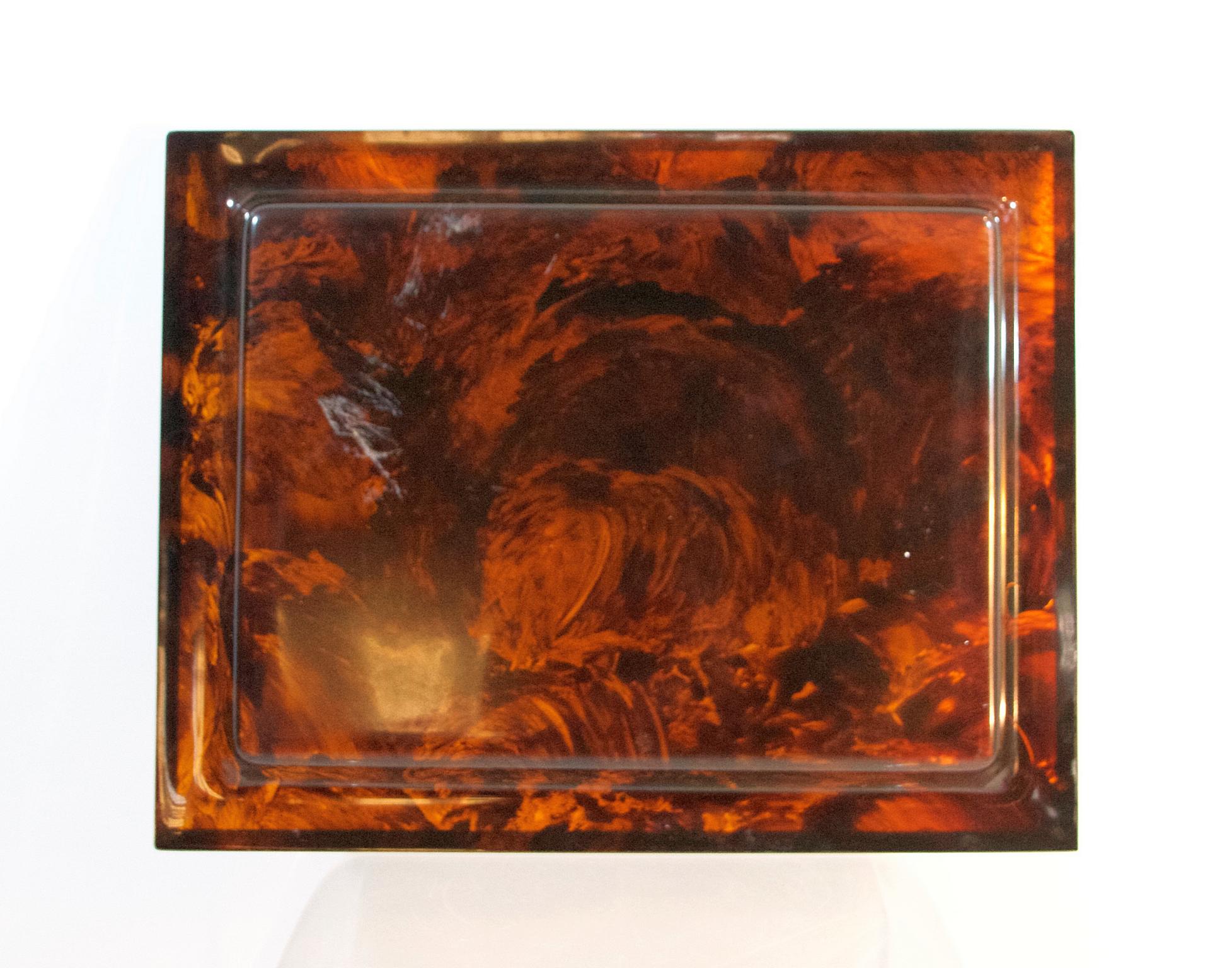 Hollywood Regency Christian Dior Tray Tortoise Lucite, 1970s