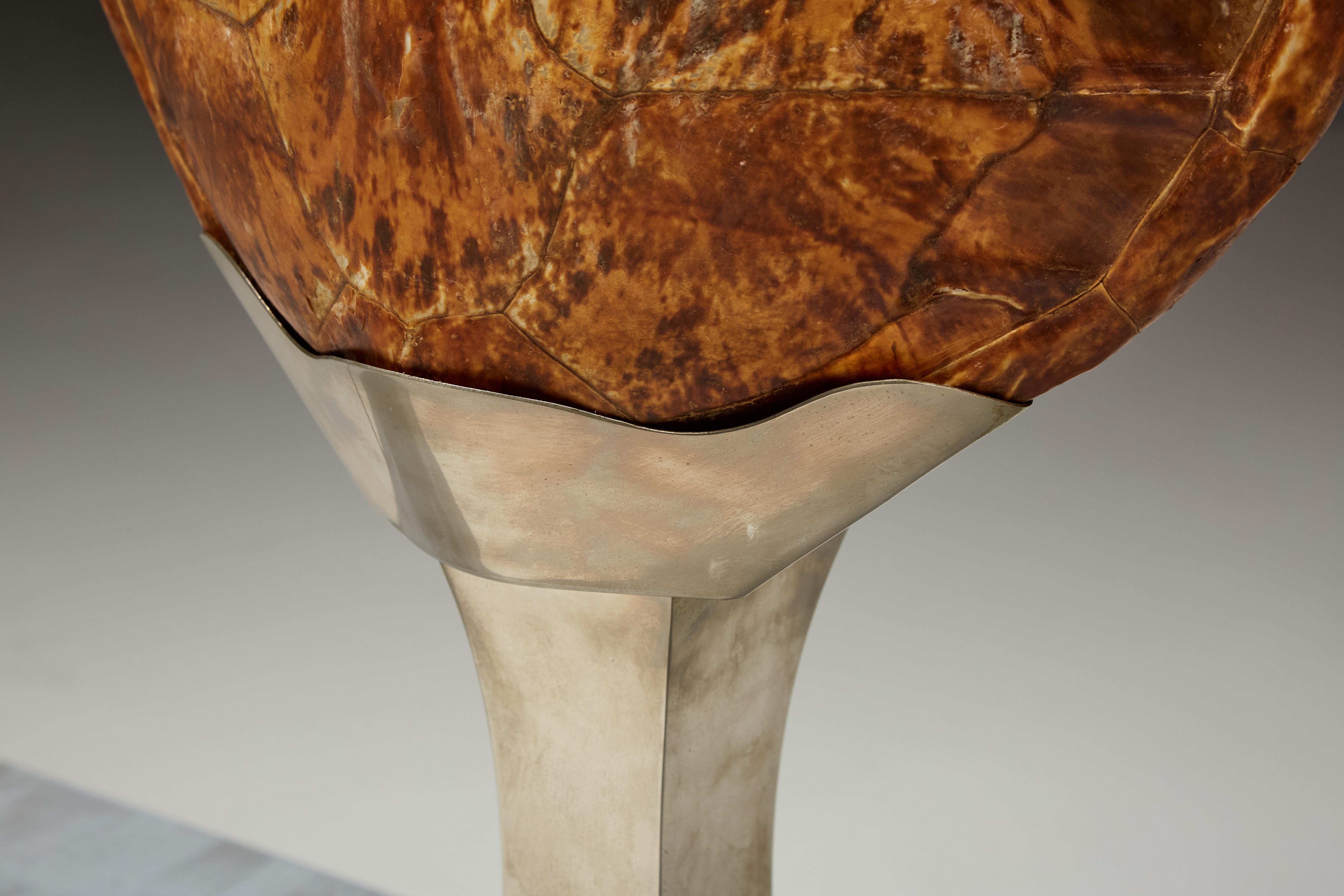 Christian Dior Schildkrötenpanzer-Tischlampe, Frankreich, 1970er Jahre im Angebot 6