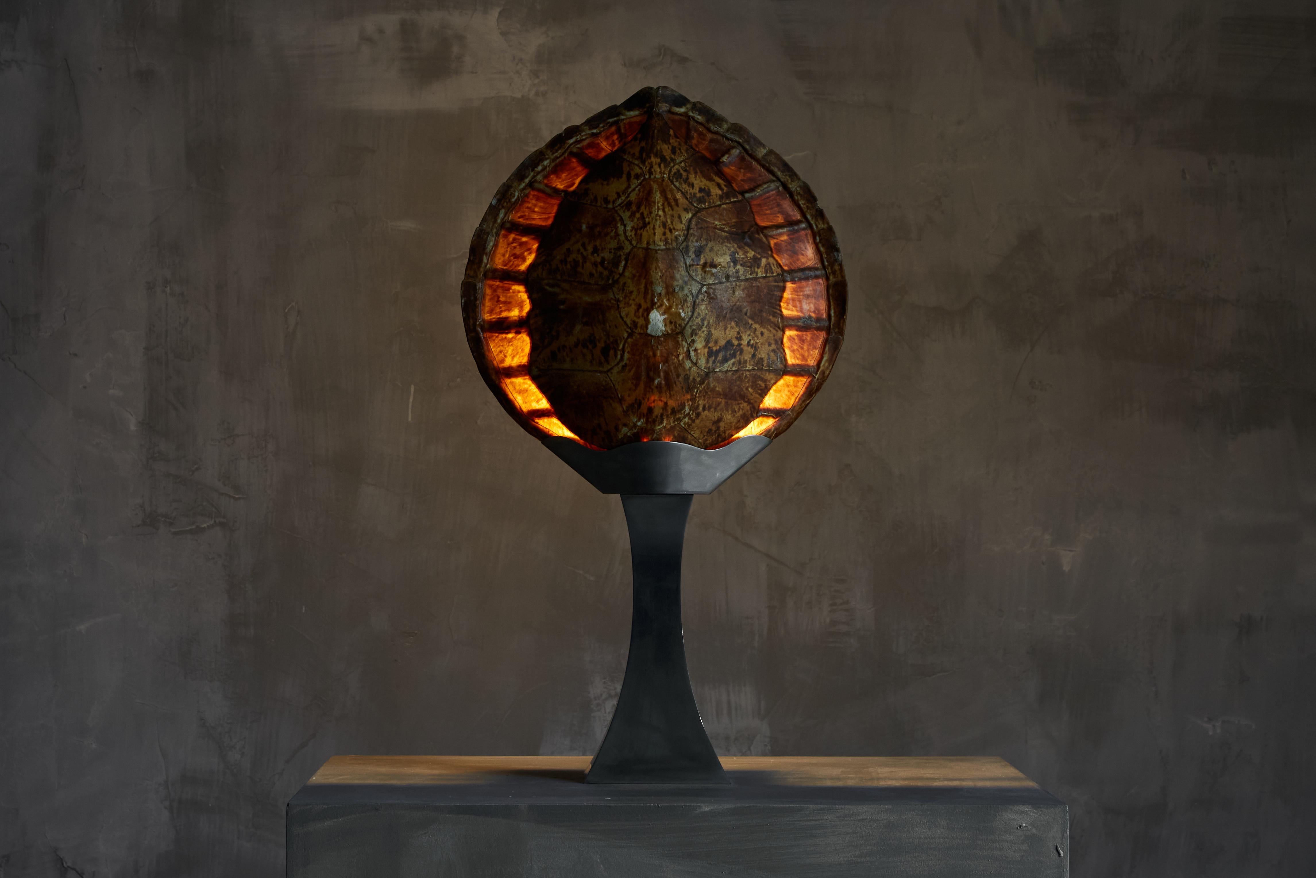 Christian Dior Schildkrötenpanzer-Tischlampe, Frankreich, 1970er Jahre (Metall) im Angebot