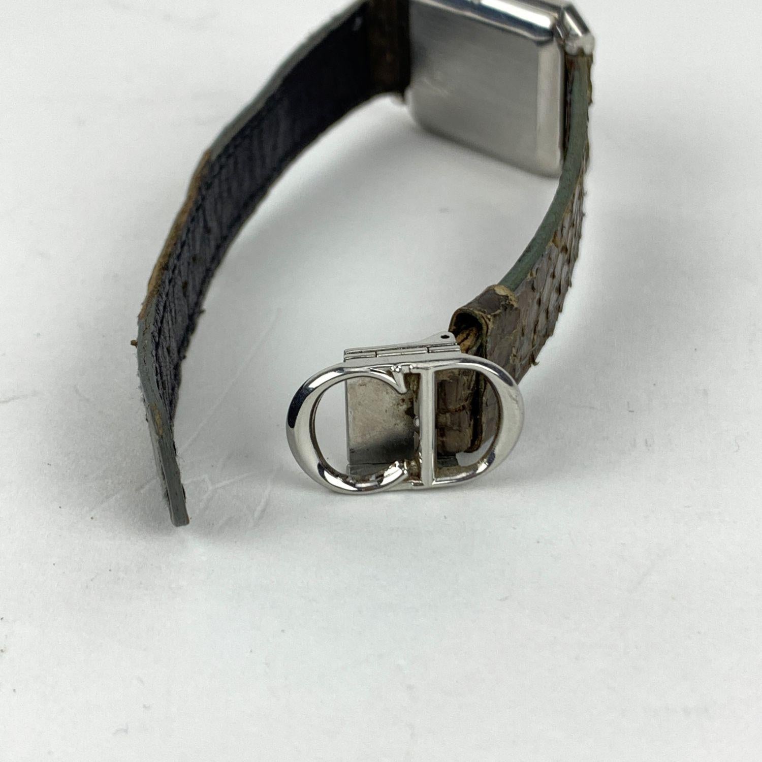 dior watch strap