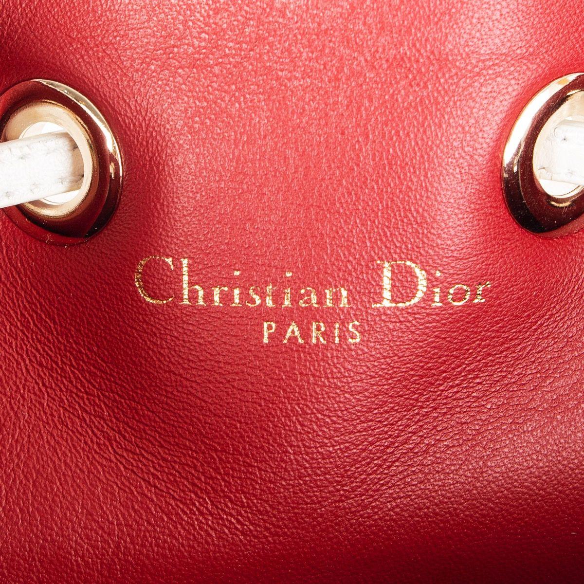 CHRISTIAN DIOR white PRINTED leather CRUISE 2016 LTD ED Bucket Shoulder Bag 4
