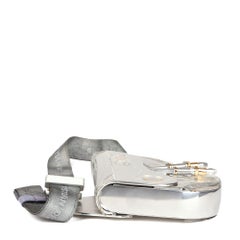 Christian Dior x Sorayama Metal & Brass Saddle Bag