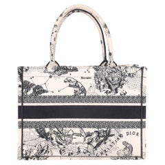 Christian Dior Zodiac Embroidered Canvas Medium Book Tote
