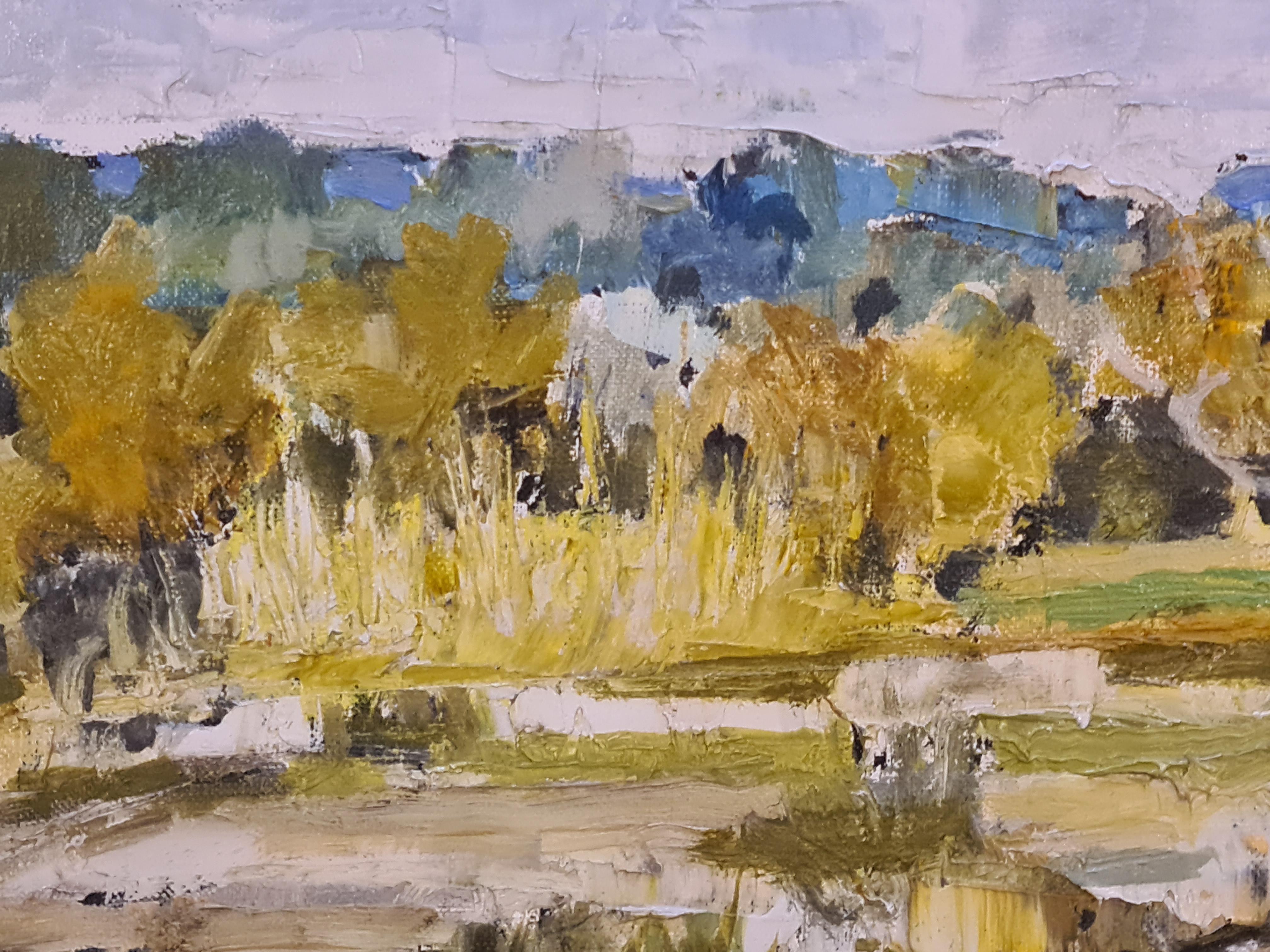 Les Vignes, Tricastin. Olio impressionista su tela. - Painting Impressionismo di Christian Dyr