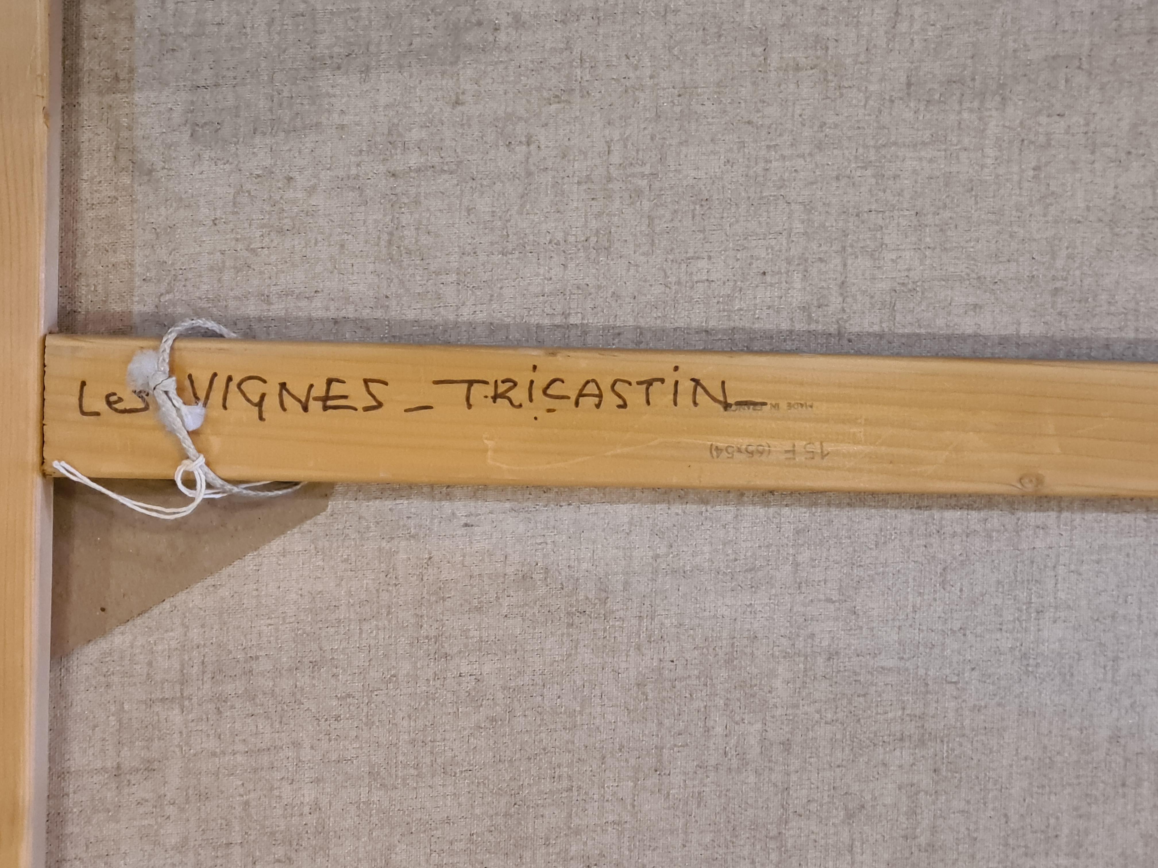 Les Vignes, Tricastin. Olio impressionista su tela. 4