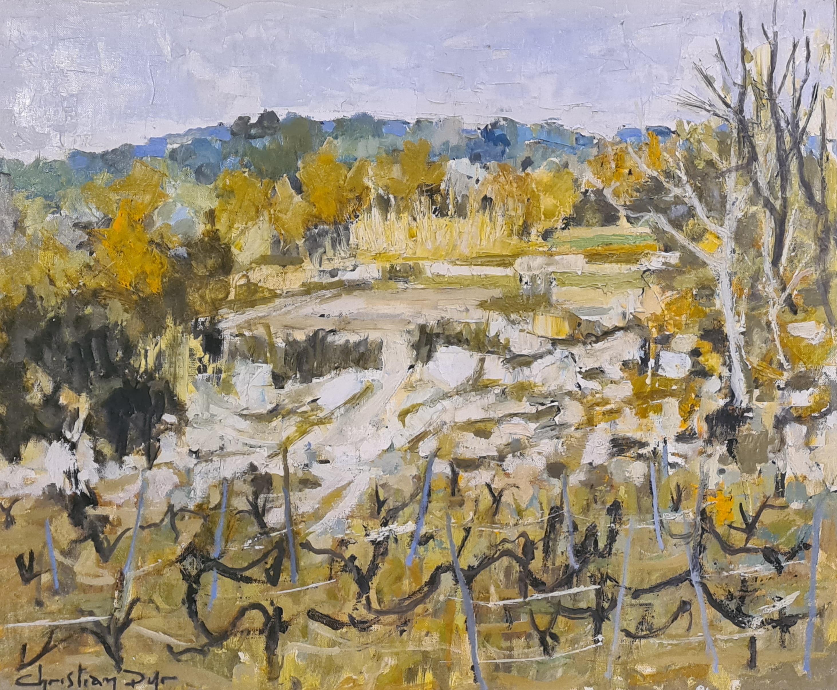 Landscape Painting di Christian Dyr - Les Vignes, Tricastin. Olio impressionista su tela.