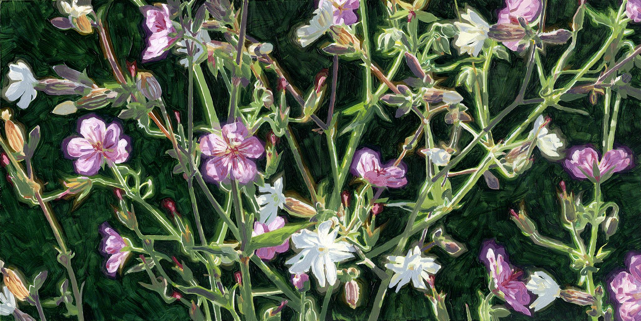 Zeitgenössische kanadische Kunst von Christian Frederiksen - Entangled Wildflowers