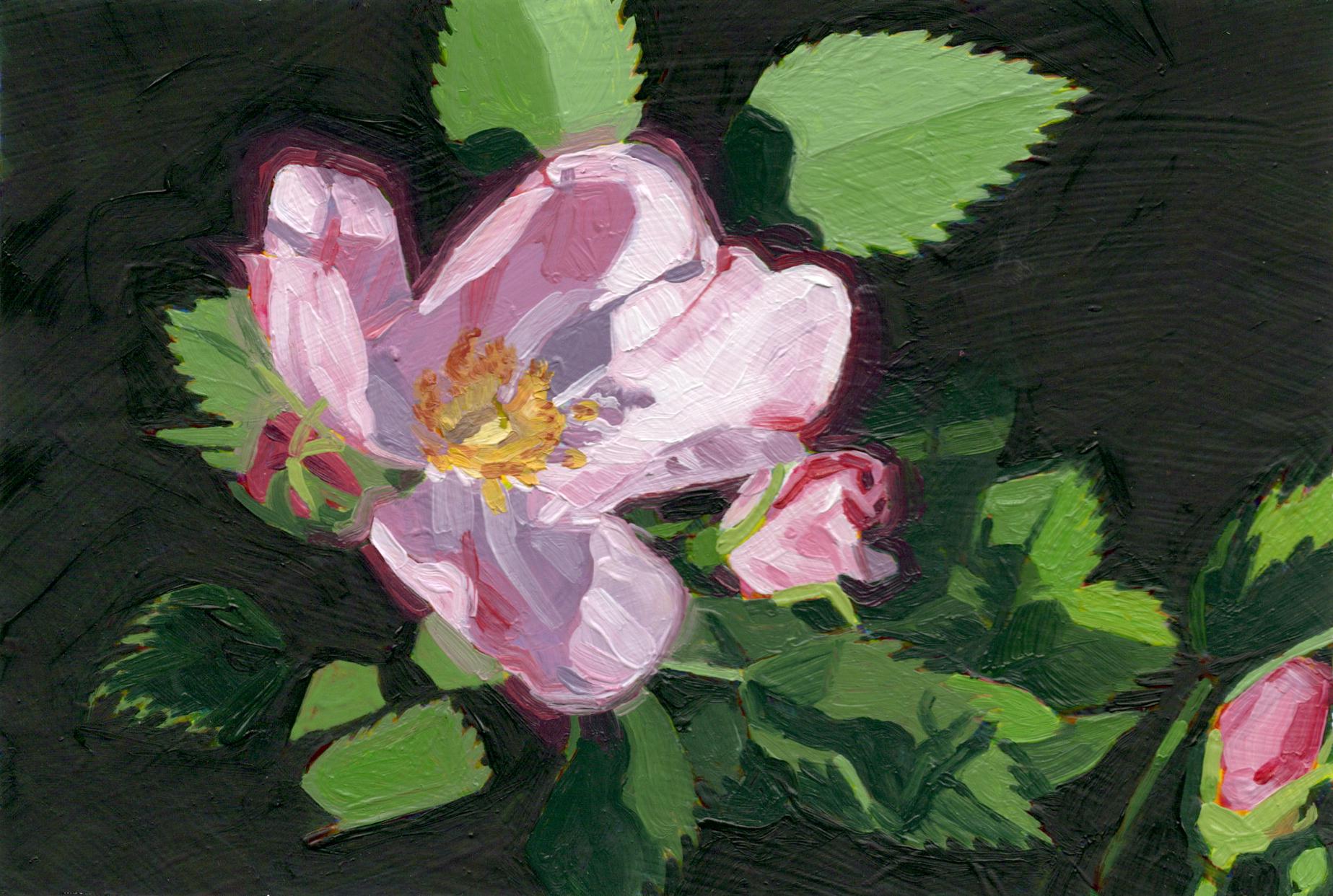 Art contemporain canadien de Christian Frederiksen - Wild Rose