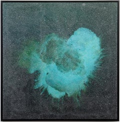 Come canta il mio cuore- Greene & Greene - Blue Glissando Speculo I