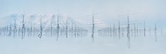 Antennaforest 2, Tecnología Ártica Spitsbergen por Christian Houge - Fotografía