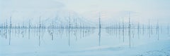 Antennaforest 1, Tecnologia Artica Spitsbergen di Christian Houge - Fotografia