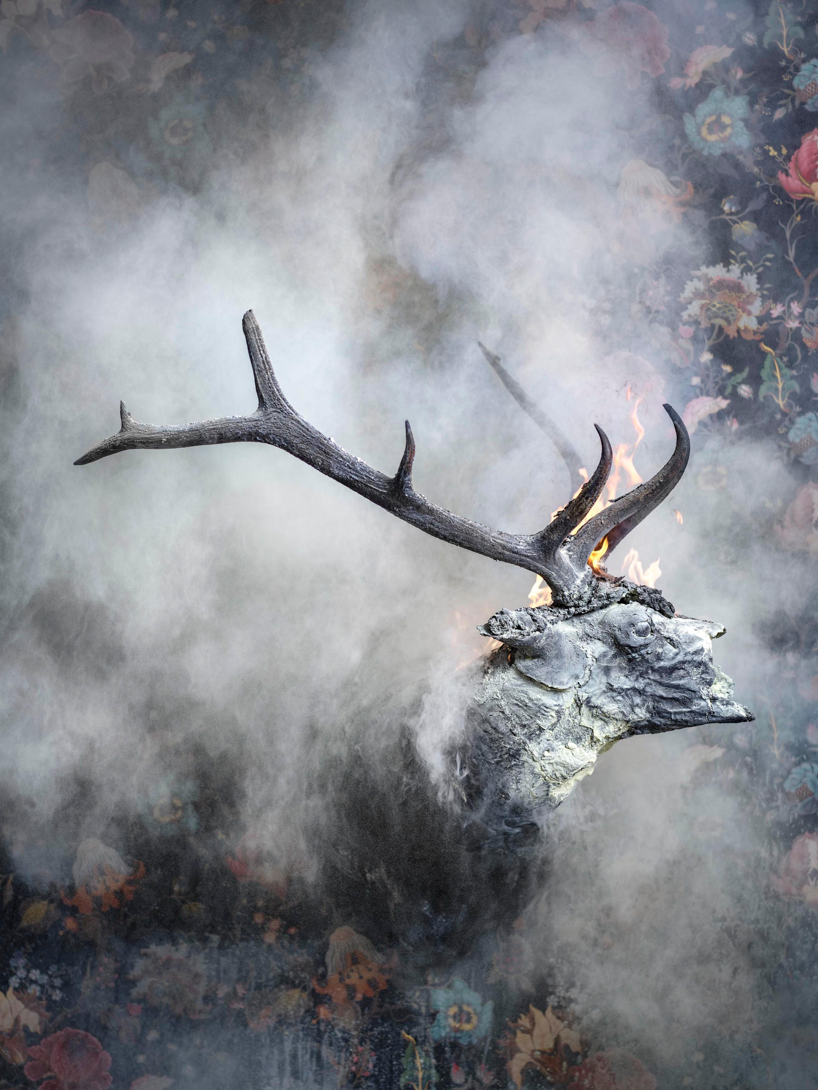 Christian Houge Figurative Photograph - `Elk Burnt`, Oslo- `Residence of Impermanence` animal elk fire nature wallpaper 