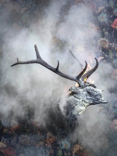 `Elk Burnt`, Oslo- `Residence of Impermanence` animal elk fire nature wallpaper 